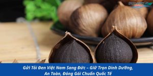 Gửi Tỏi Đen Việt Nam Sang Đức – Giữ Trọn Dinh Dưỡng, An Toàn, Đóng Gói Chuẩn Quốc Tế