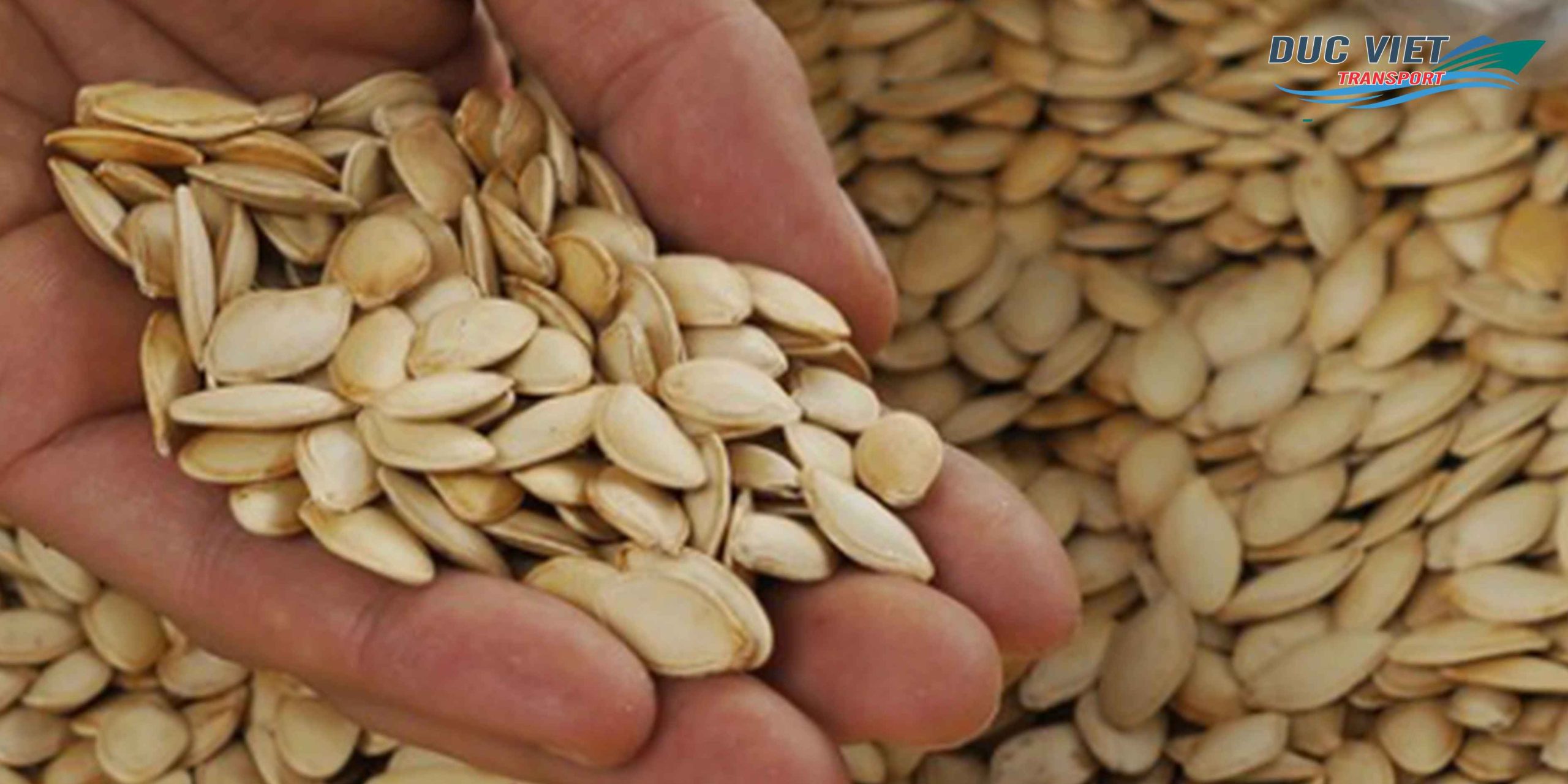 Gửi Hạt Bí – Hạt Dưa Việt Nam Sang Đức – Ngon Lành, An Toàn, Giữ Trọn Hương Vị
