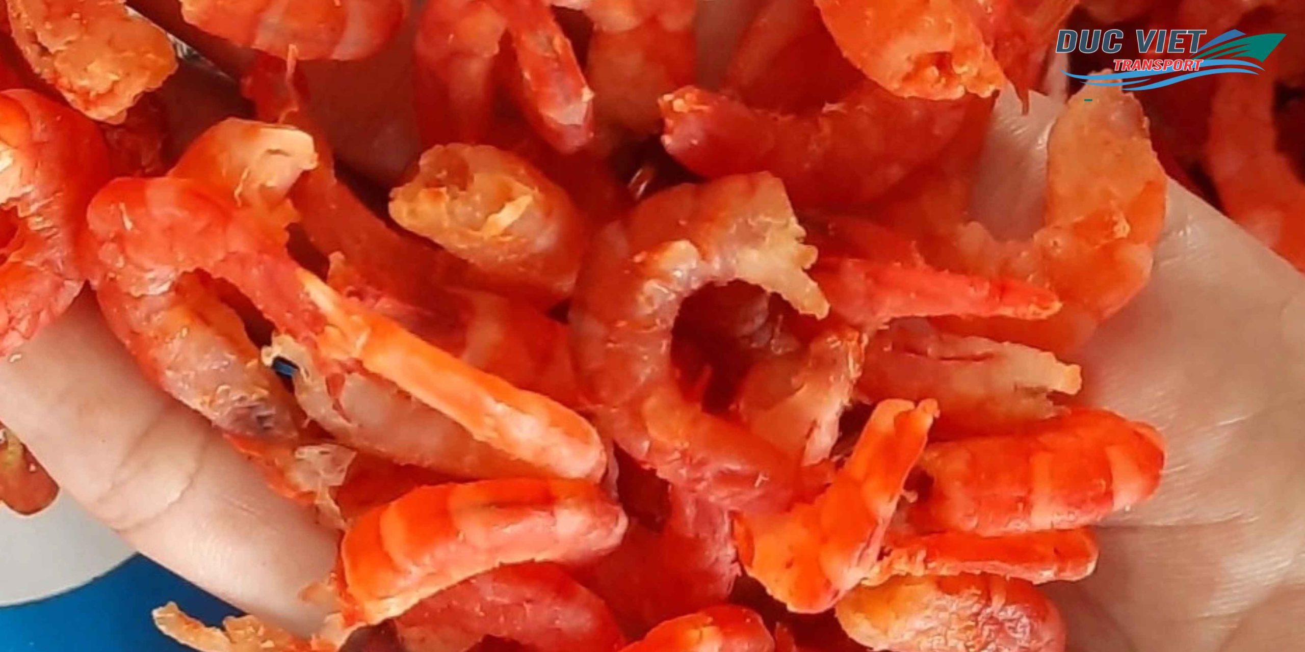 Gửi Tôm Khô Việt Nam Sang Đức – Giữ Trọn Hương Vị Biển, An Toàn, Đóng Gói Chuẩn Quốc Tế