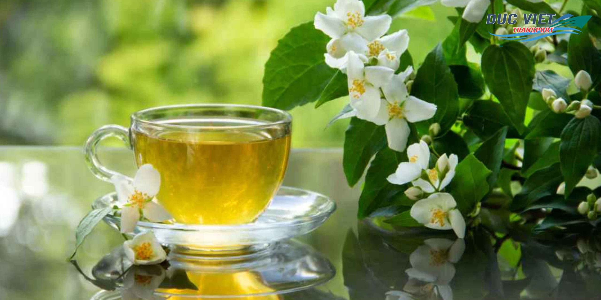 Gửi Trà Hoa Nhài Việt Nam Sang Đức – Giữ Trọn Hương Thơm Tự Nhiên, An Toàn