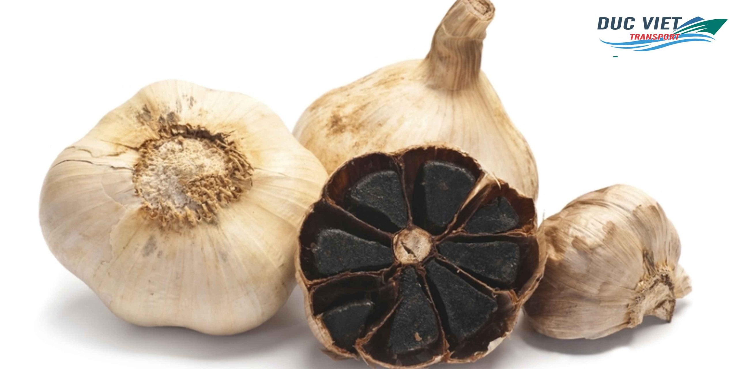 Gửi Tỏi Đen Việt Nam Sang Đức – Giữ Trọn Dinh Dưỡng, An Toàn, Đóng Gói Chuẩn Quốc Tế