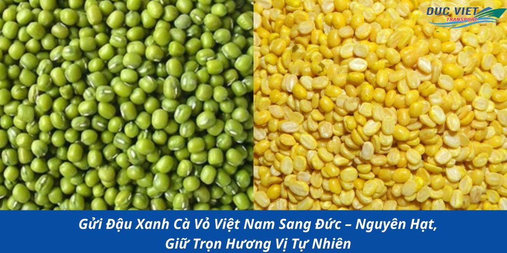 Gửi Đậu Xanh Cà Vỏ Việt Nam Sang Đức – Nguyên Hạt, Giữ Trọn Hương Vị Tự Nhiên