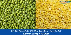Gửi Đậu Xanh Cà Vỏ Việt Nam Sang Đức – Nguyên Hạt, Giữ Trọn Hương Vị Tự Nhiên