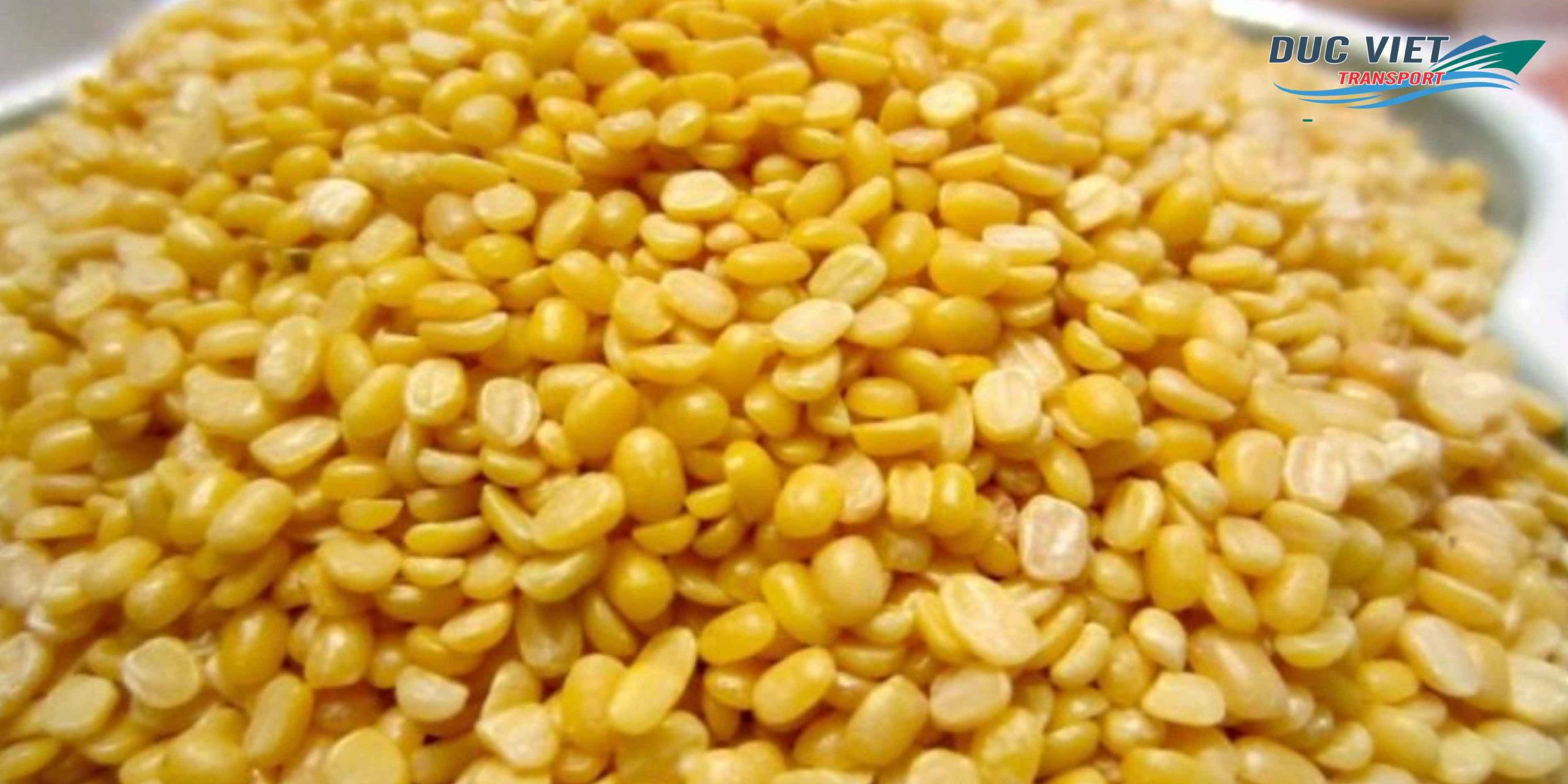 Gửi Xà Phòng Thảo Mộc Việt Nam Sang Đức – An Toàn, Giữ Trọn Chất Lượng Tự Nhiên