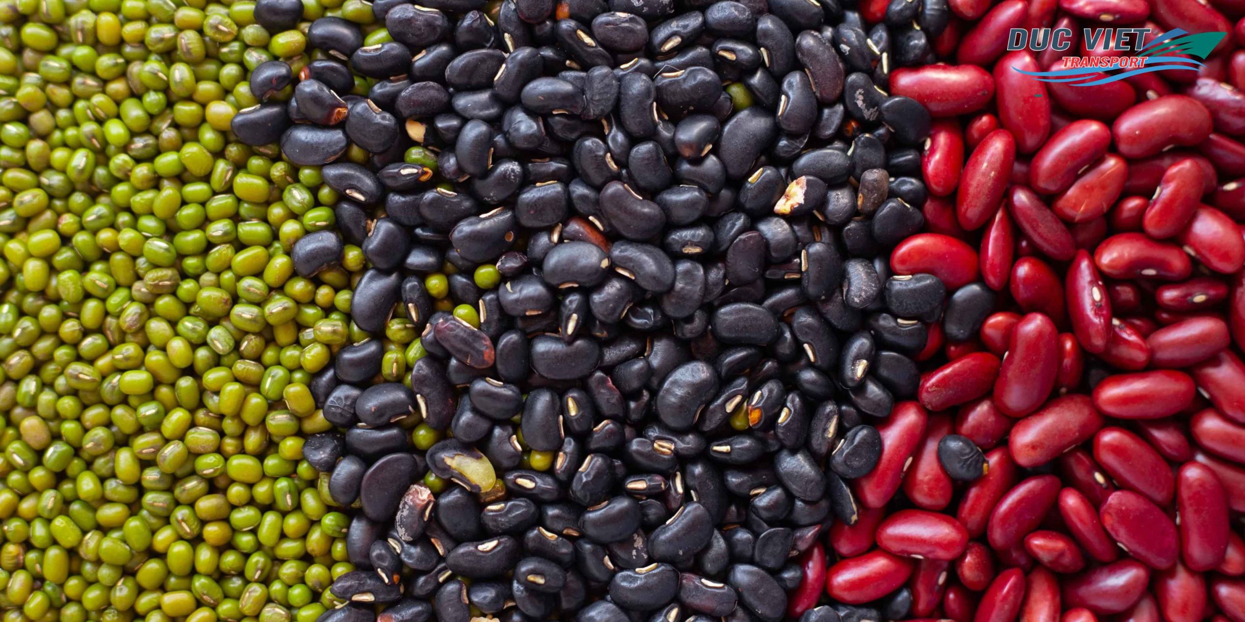 Gửi Đậu Đỏ, Đậu Đen Khô Việt Nam Sang Đức – Nguyên Hạt, Giữ Trọn Hương Vị