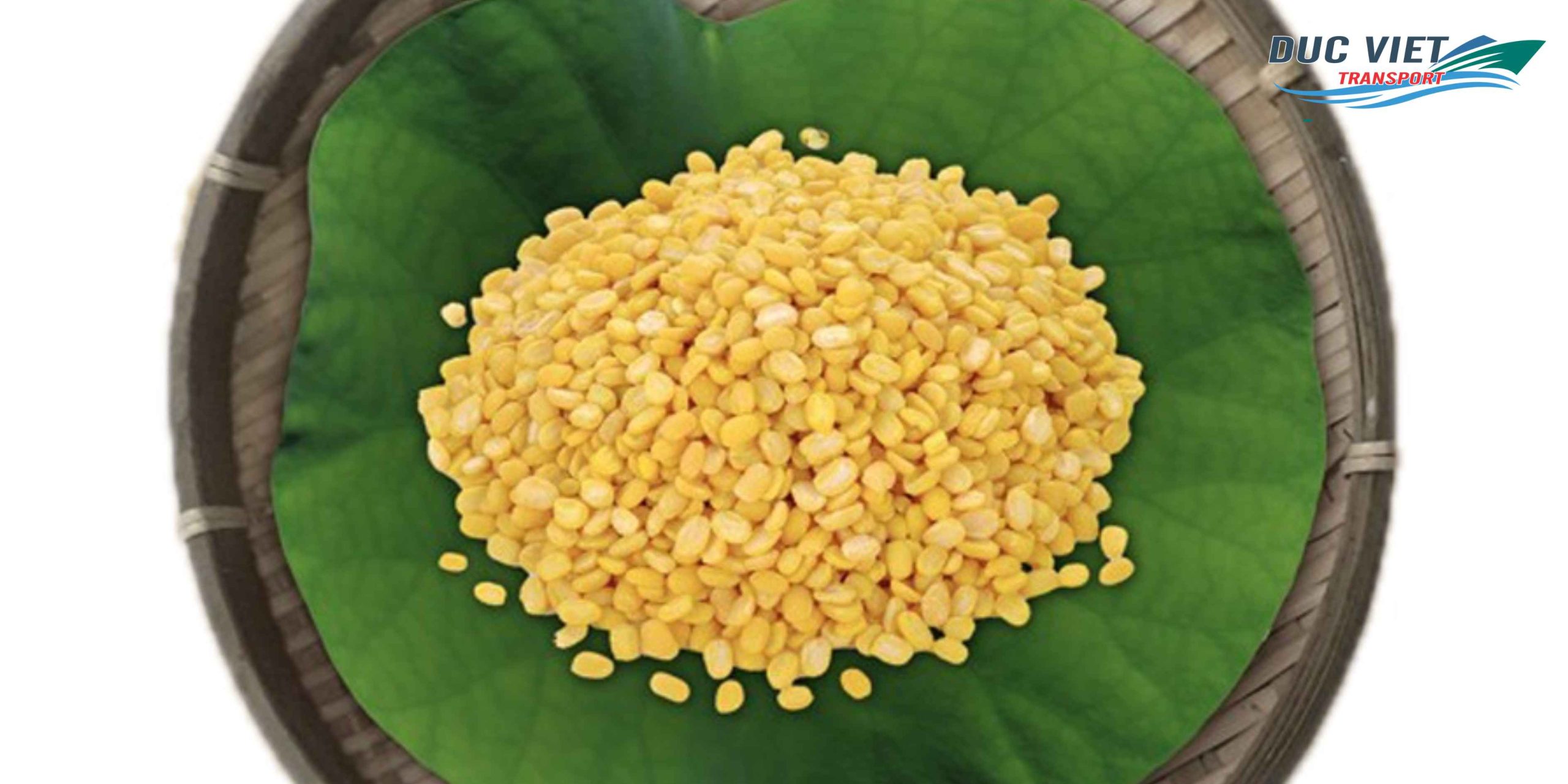 Gửi Đậu Xanh Cà Vỏ Việt Nam Sang Đức – Nguyên Hạt, Giữ Trọn Hương Vị Tự Nhiên