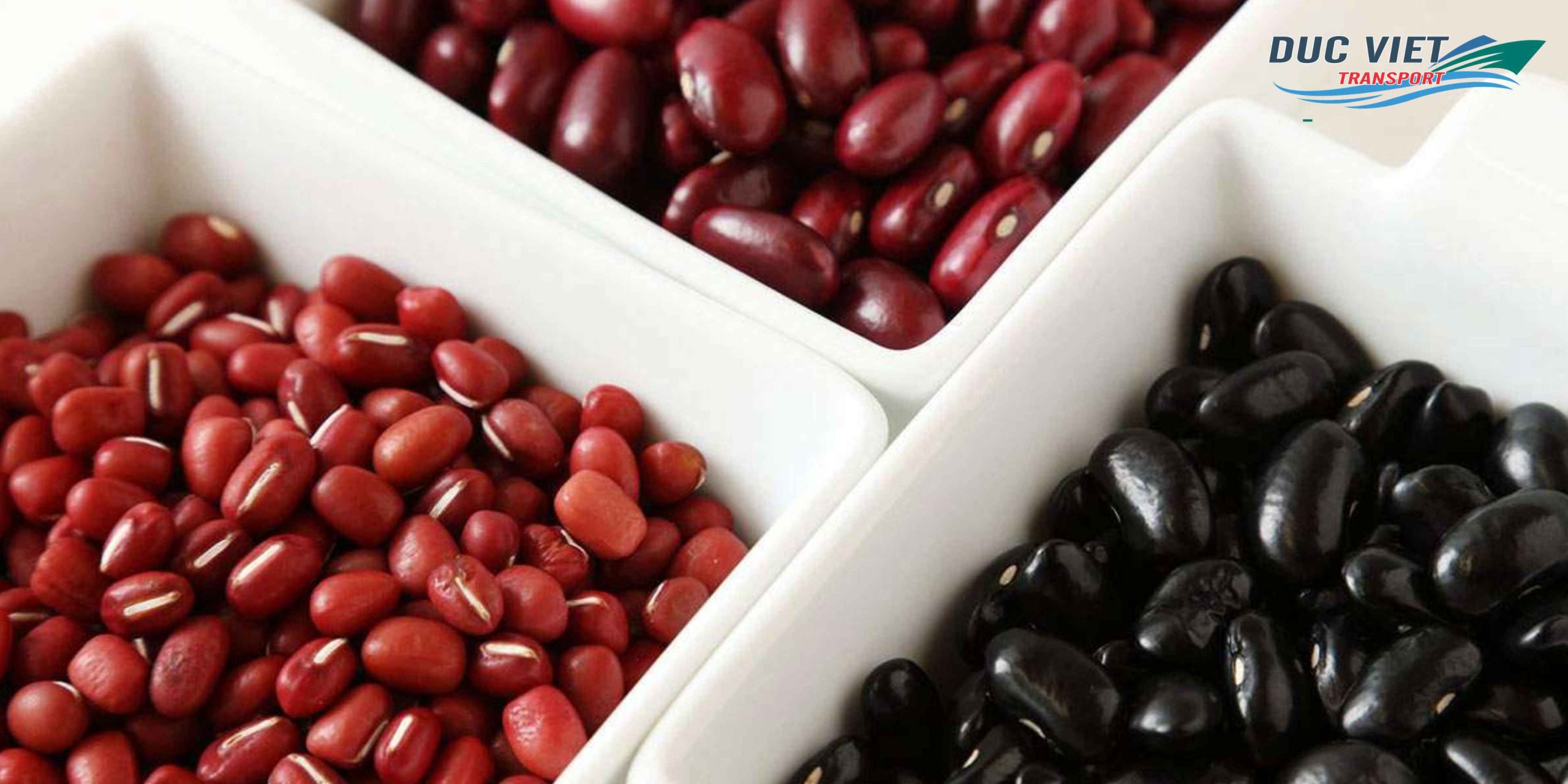 Gửi Đậu Đỏ, Đậu Đen Khô Việt Nam Sang Đức – Nguyên Hạt, Giữ Trọn Hương Vị