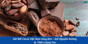 Gửi Bột Cacao Việt Nam Sang Đức – Giữ Nguyên Hương Vị, Chất Lượng Cao