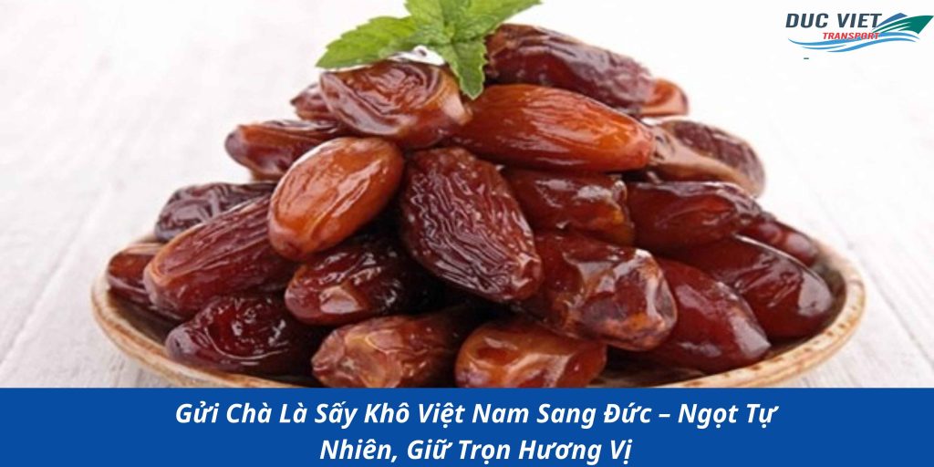 Gửi Chà Là Sấy Khô Việt Nam Sang Đức – Ngọt Tự Nhiên, Giữ Trọn Hương Vị