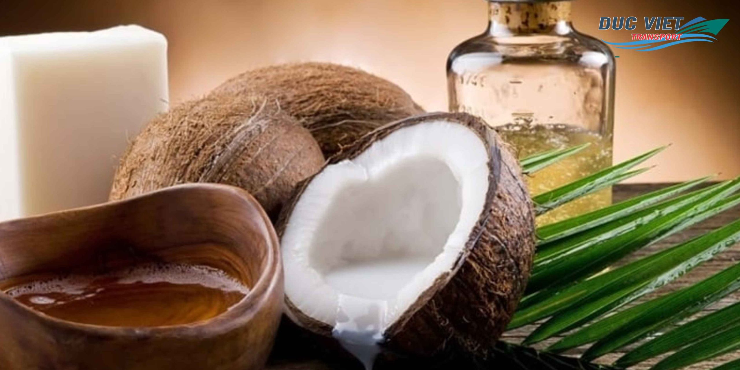 Gửi Dầu Dừa Nguyên Chất Việt Nam Sang Đức – Ép Lạnh Tự Nhiên, Đóng Gói An Toàn