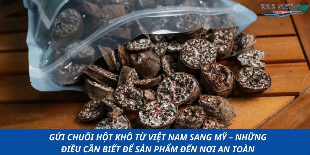 GỬI CHUỐI HỘT KHÔ TỪ VIỆT NAM SANG MỸ – NHỮNG ĐIỀU CẦN BIẾT ĐỂ SẢN PHẨM ĐẾN NƠI AN TOÀN