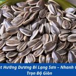 Gửi Hạt Hướng Dương Đi Lạng Sơn – Nhanh Gọn, Giữ Trọn Độ Giòn