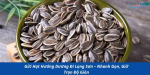 Gửi Hạt Hướng Dương Đi Lạng Sơn – Nhanh Gọn, Giữ Trọn Độ Giòn